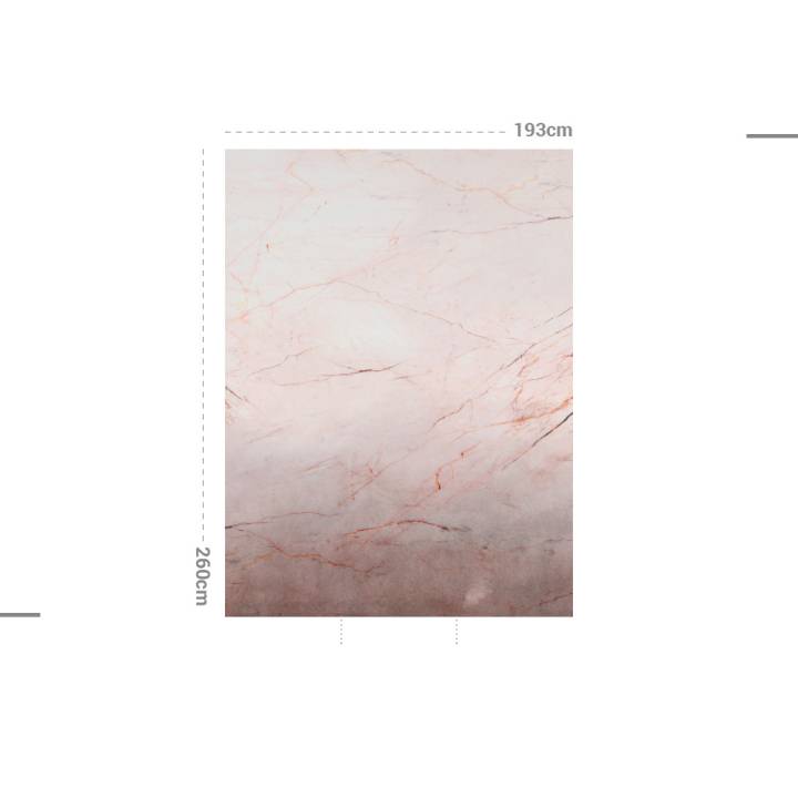 PINK MARBLE Mural